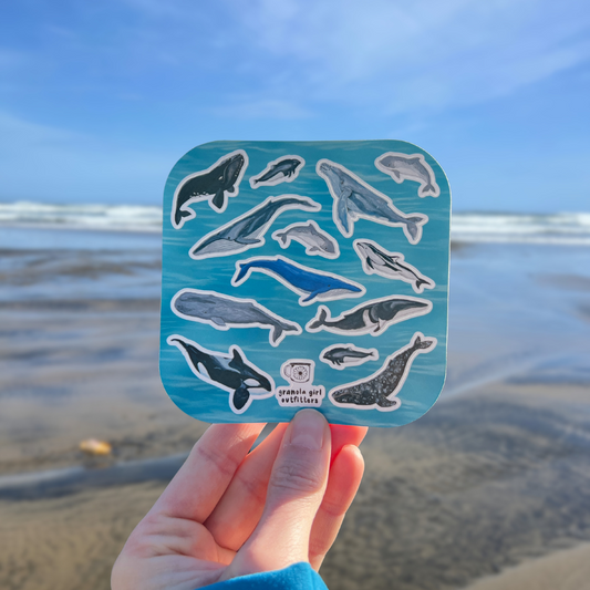 A hand holding a sticker sheet with various whale illustrations on it, with a beach and ocean in the background.