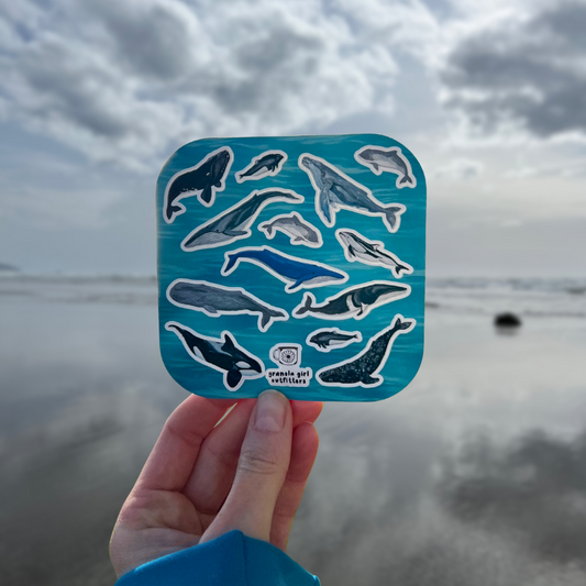 Whales of the Pacific Northwest Sticker Sheet
