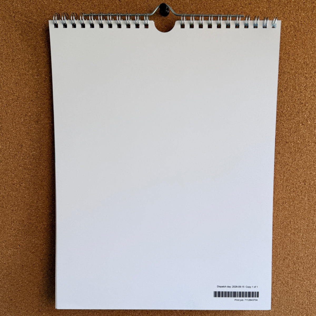 Limited Edition Caitlin Tobey Art Calendar 2027