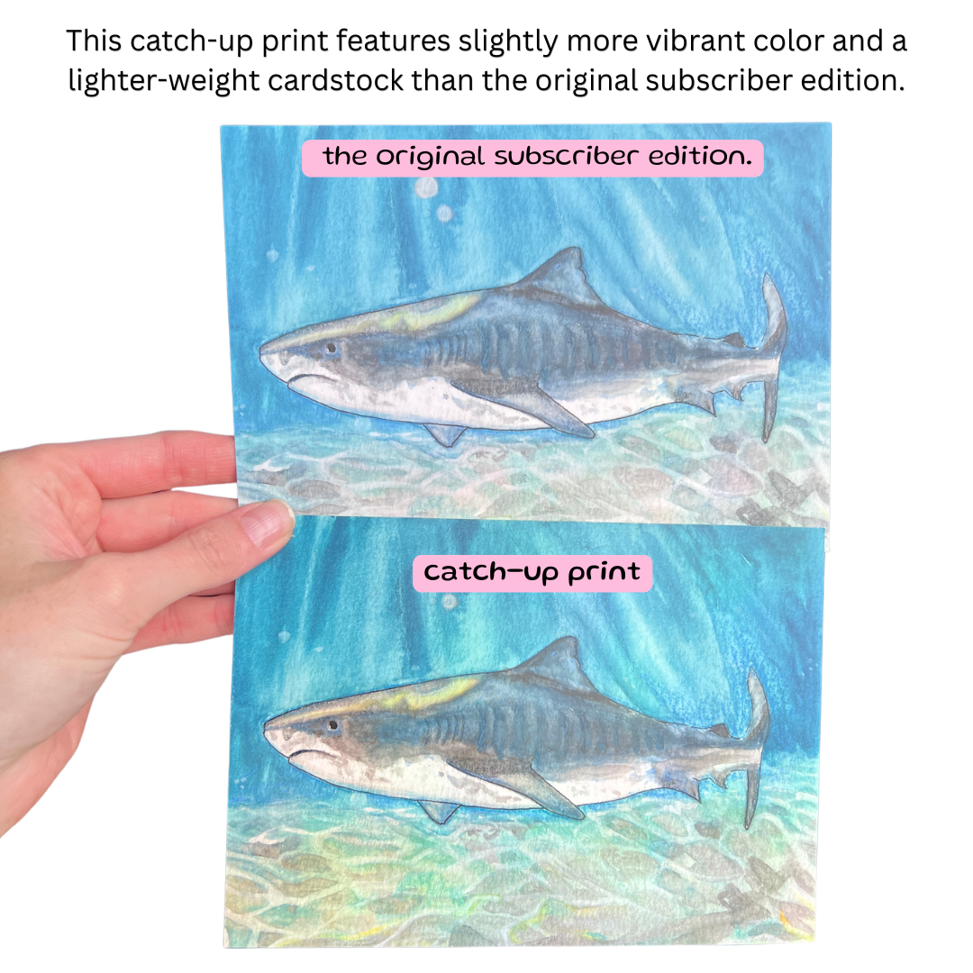 a image of a hand holding up two art prints. There's text on the screen that reads "this catch-up print features slightly more vibrant color and a lighter-weight cardstock than the original subscriber edition."