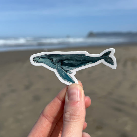 Humpback Whale Sticker