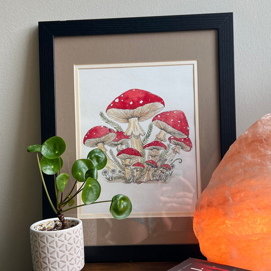 Framed artwork of mushrooms on a shelf with a plant and salt lamp.