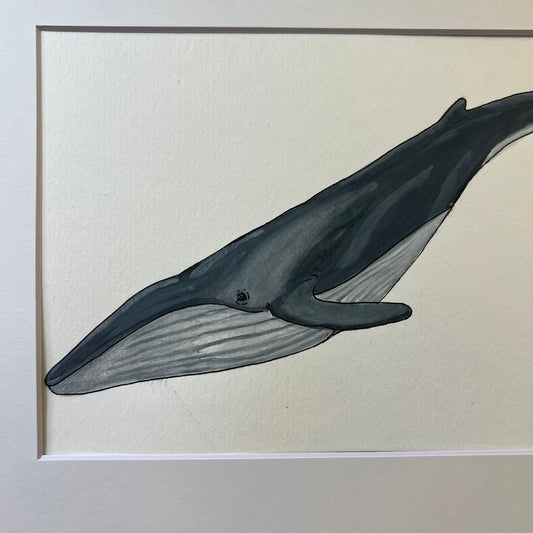 Signed "Fin Whale" Original Gouache Painting #9/9