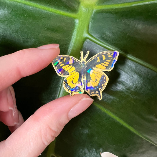 Butterfly-shaped sticker held over a leaf