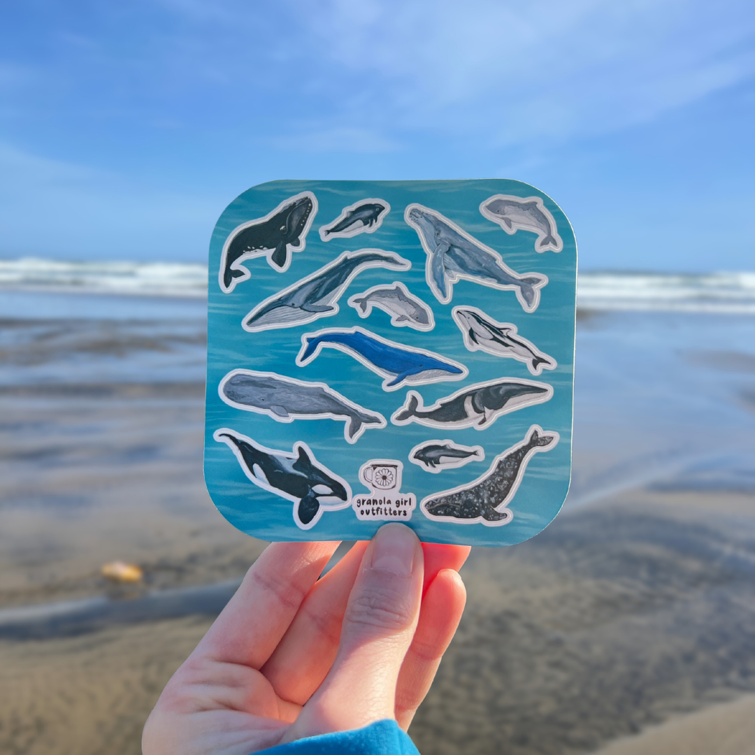 A hand holding a sticker sheet with various whale illustrations on it, with a beach and ocean in the background.