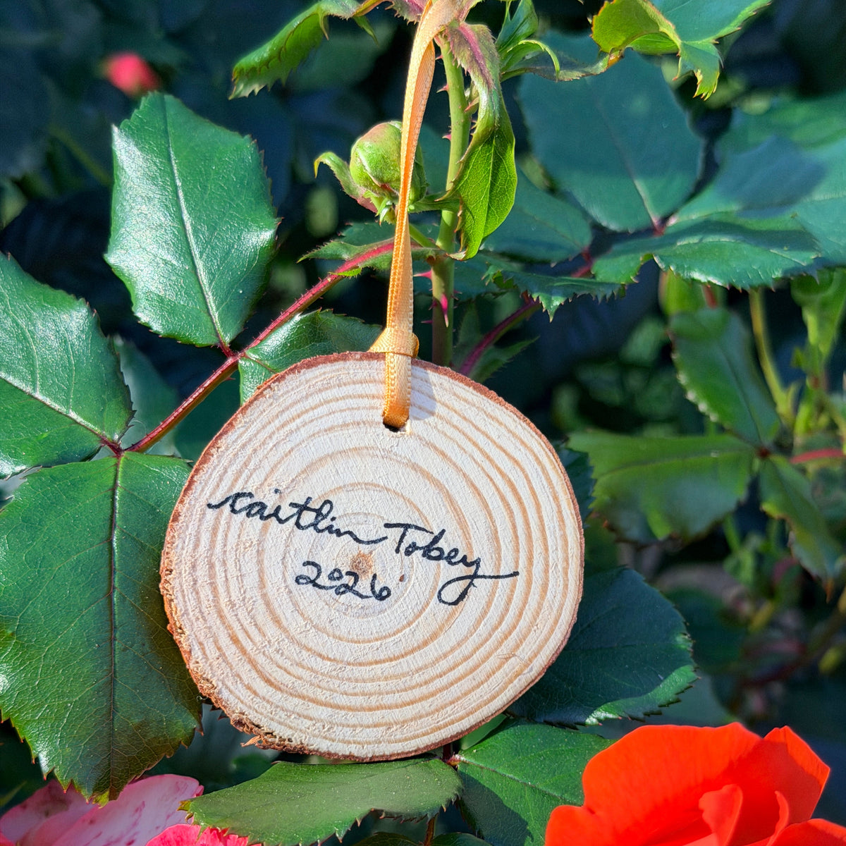 Hand-painted Wooden Starlit Forest Ornament
