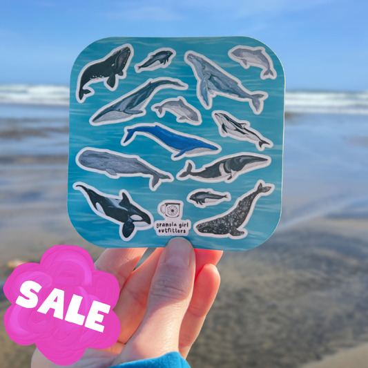 Whales of the Pacific Northwest Sticker Sheet