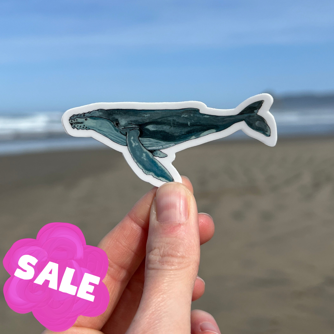 Humpback Whale Sticker