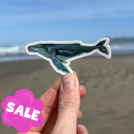 Humpback Whale Sticker
