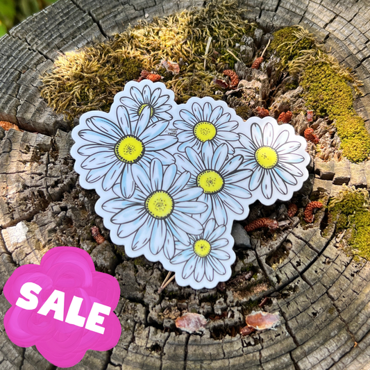 PNW Daisies Sticker