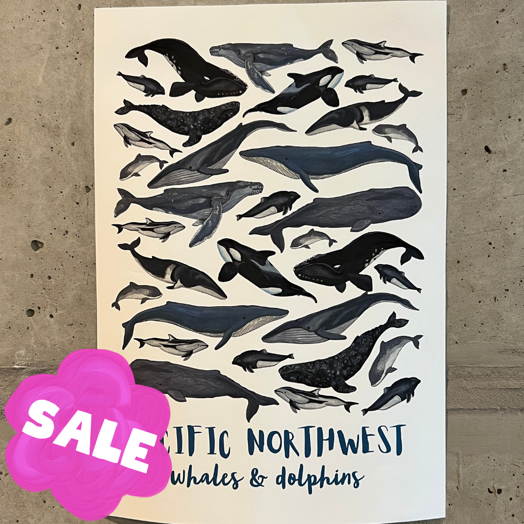 Pacific Northwest Whales & Dolphins Poster | 21x30cm
