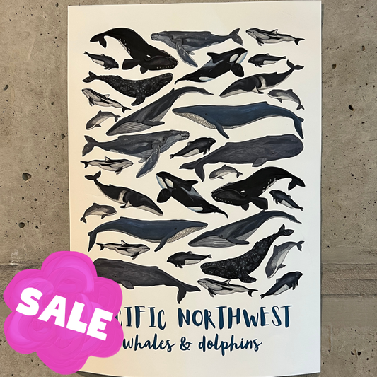 Pacific Northwest Whales & Dolphins Poster | 21x30cm