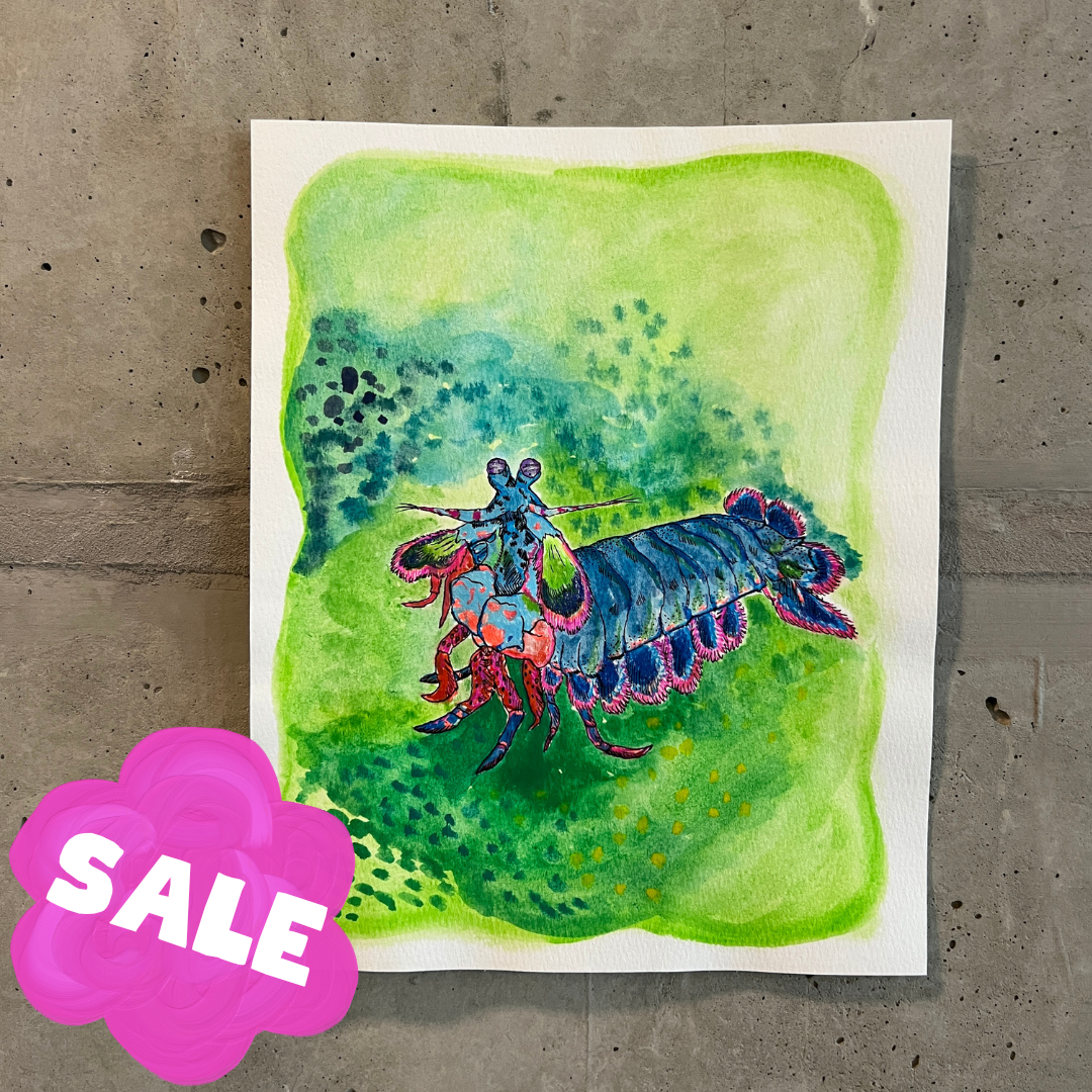 💚Signed "Mantis Shrimp" Watercolor Painting 8x10