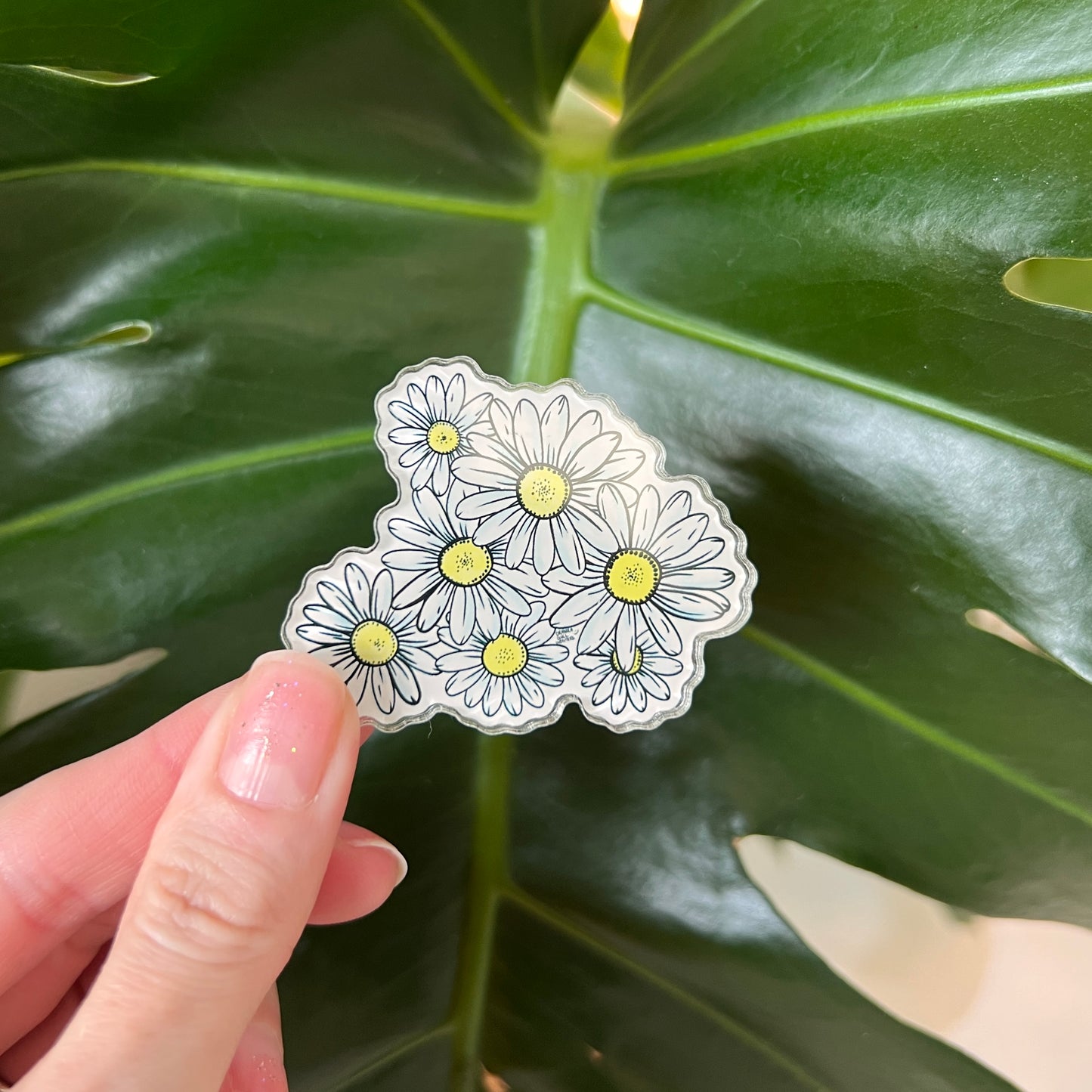 Fingers holding up an acrylic daisies magnet against a leafy background