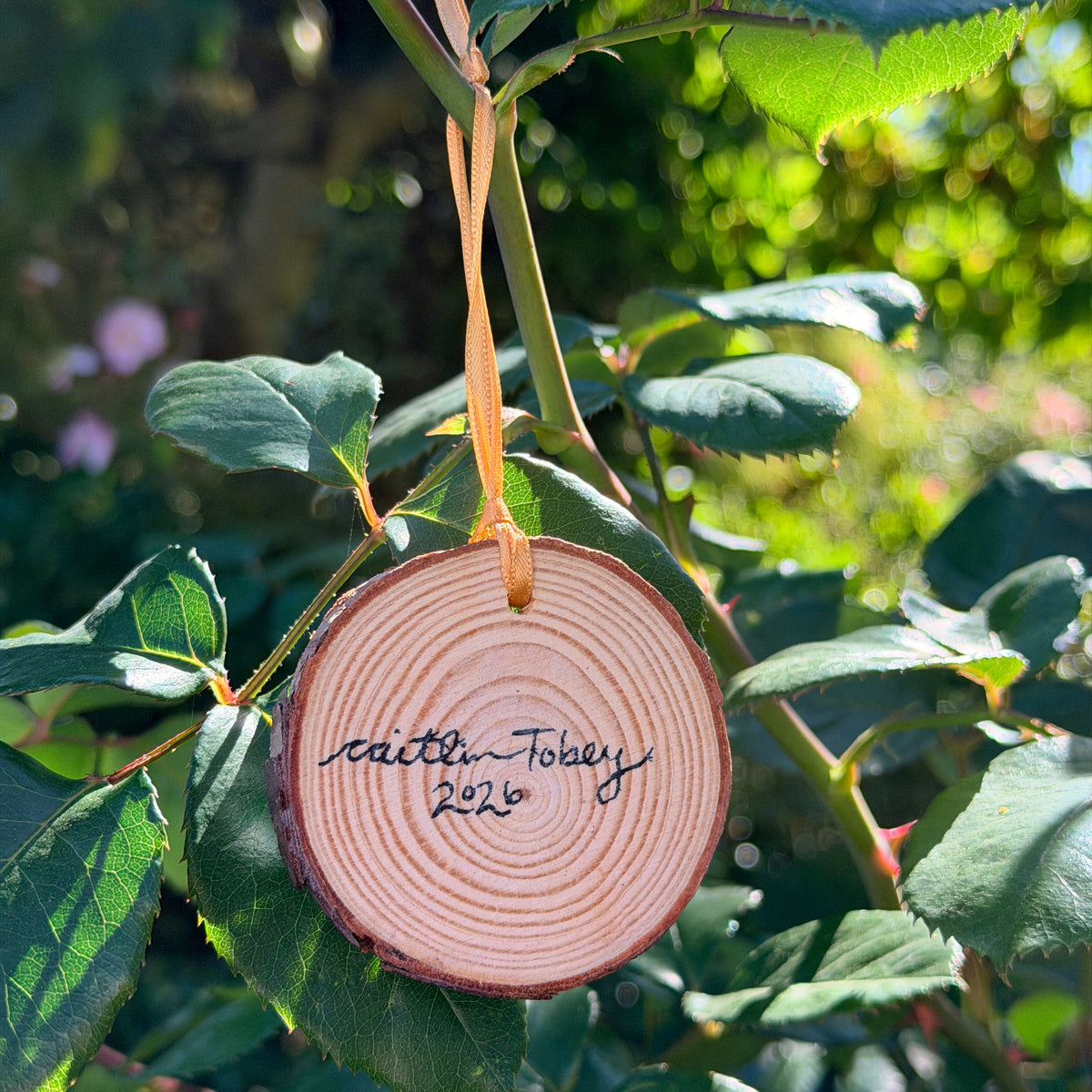 Hand-painted Wooden Whimsical Butterfly Ornament