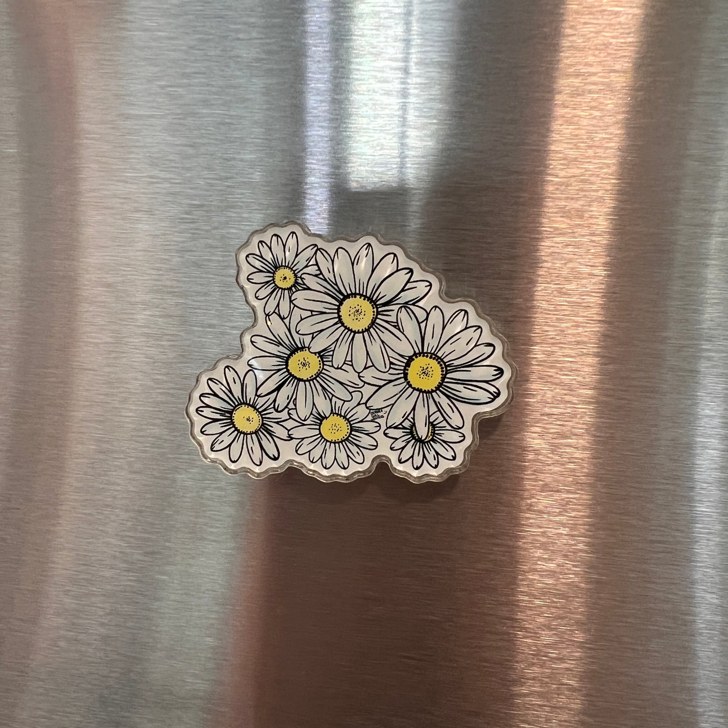 PNW Daisies Magnet