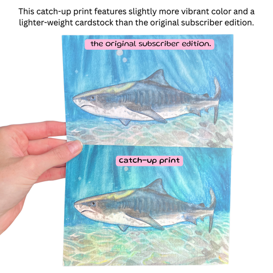 a image of a hand holding up two art prints. There's text on the screen that reads "this catch-up print features slightly more vibrant color and a lighter-weight cardstock than the original subscriber edition." 