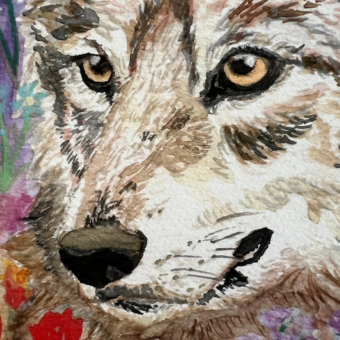 Close-up of a wolf with a colorful background