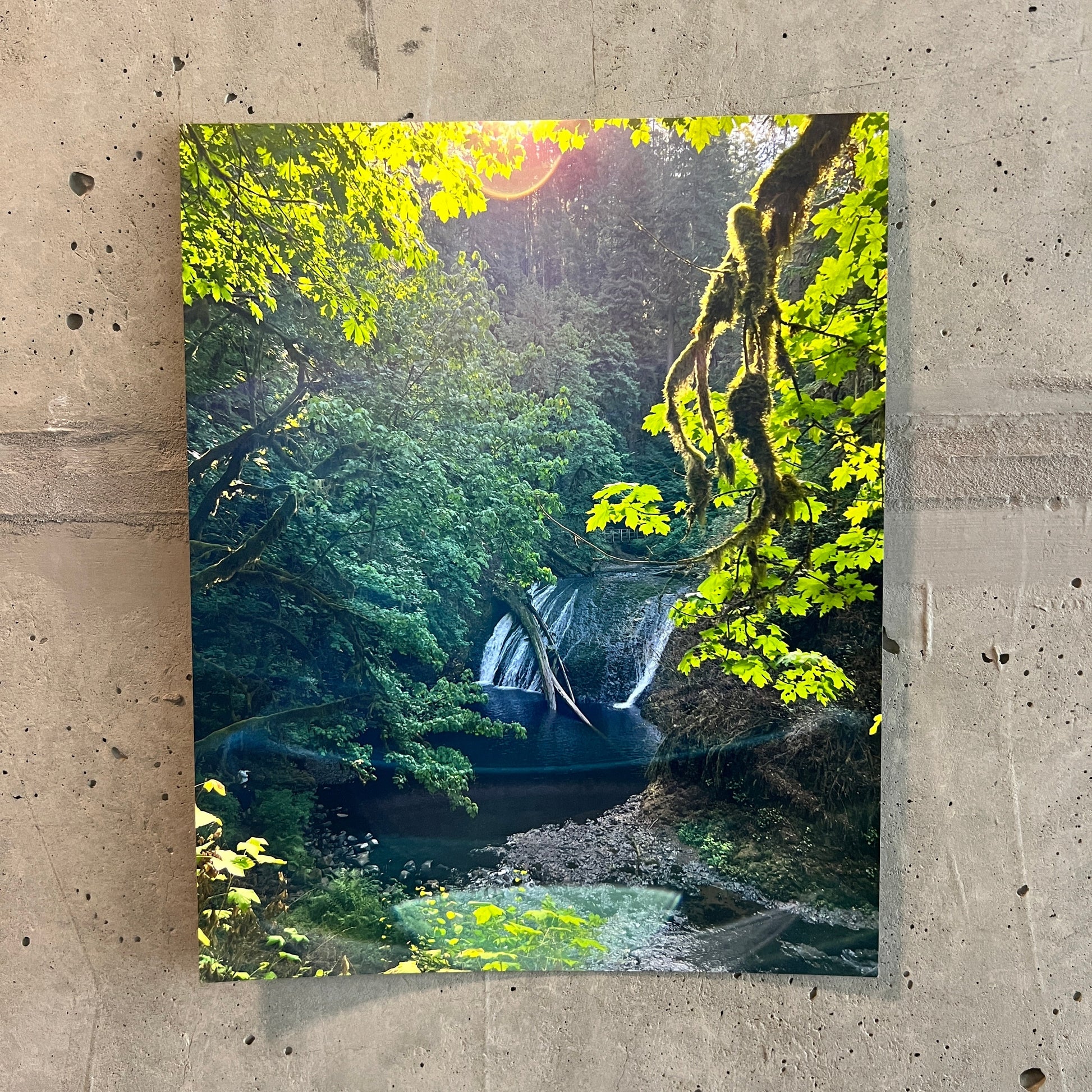 photo of a waterfall in the forest