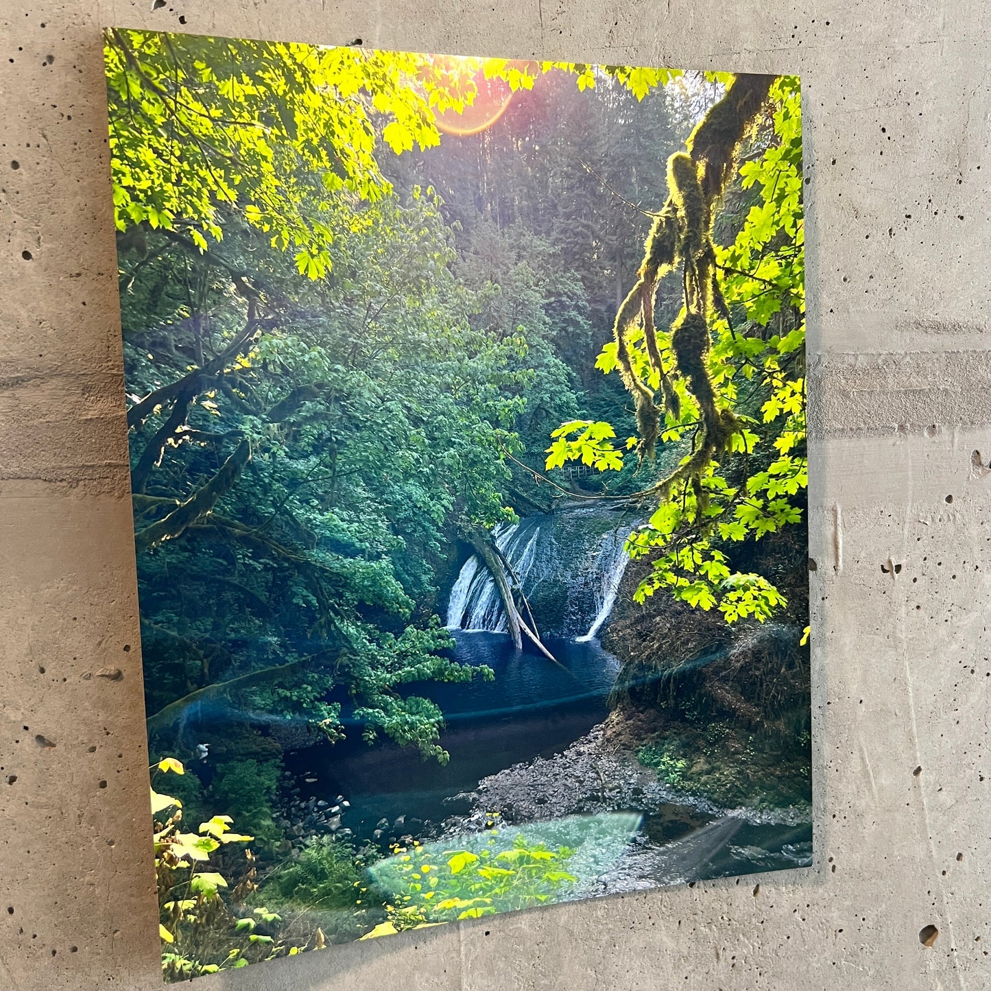 photo of a waterfall in the forest