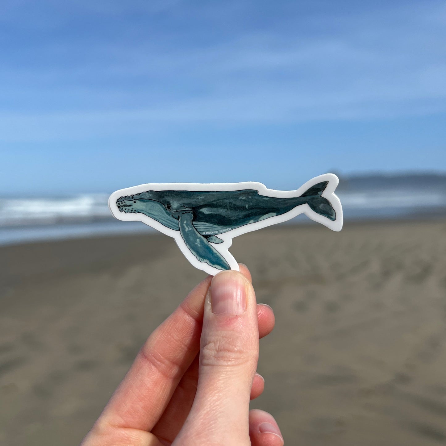 A hand holding a sticker of a humpback whale with a beach and ocean in the background.