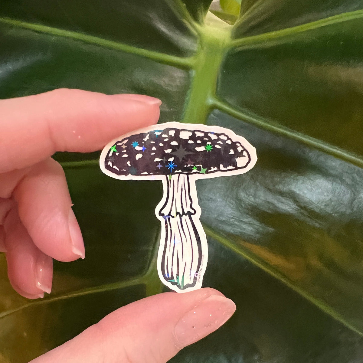 Hand holding a small sticker with a design of a mushroom against a leafy green background