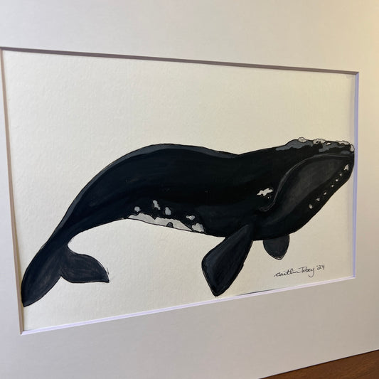 Signed "North Pacific Right Whale" Original Gouache Painting #8/9