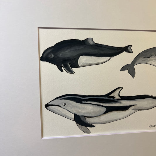 Signed "Dall's Porpoise, Harbour Porpoise & Pacific White-Sided Dolphin" Original Gouache Painting #5/9