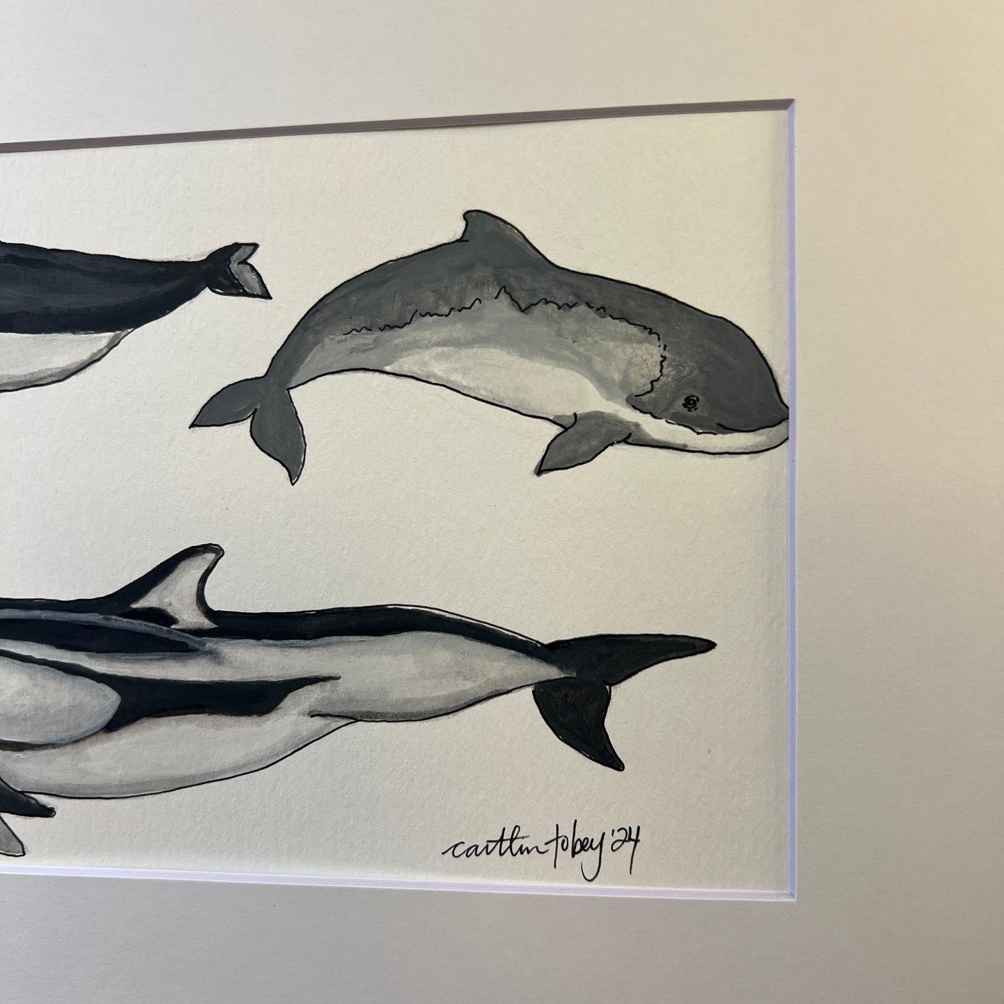 Signed "Dall's Porpoise, Harbour Porpoise & Pacific White-Sided Dolphin" Original Gouache Painting #5/9