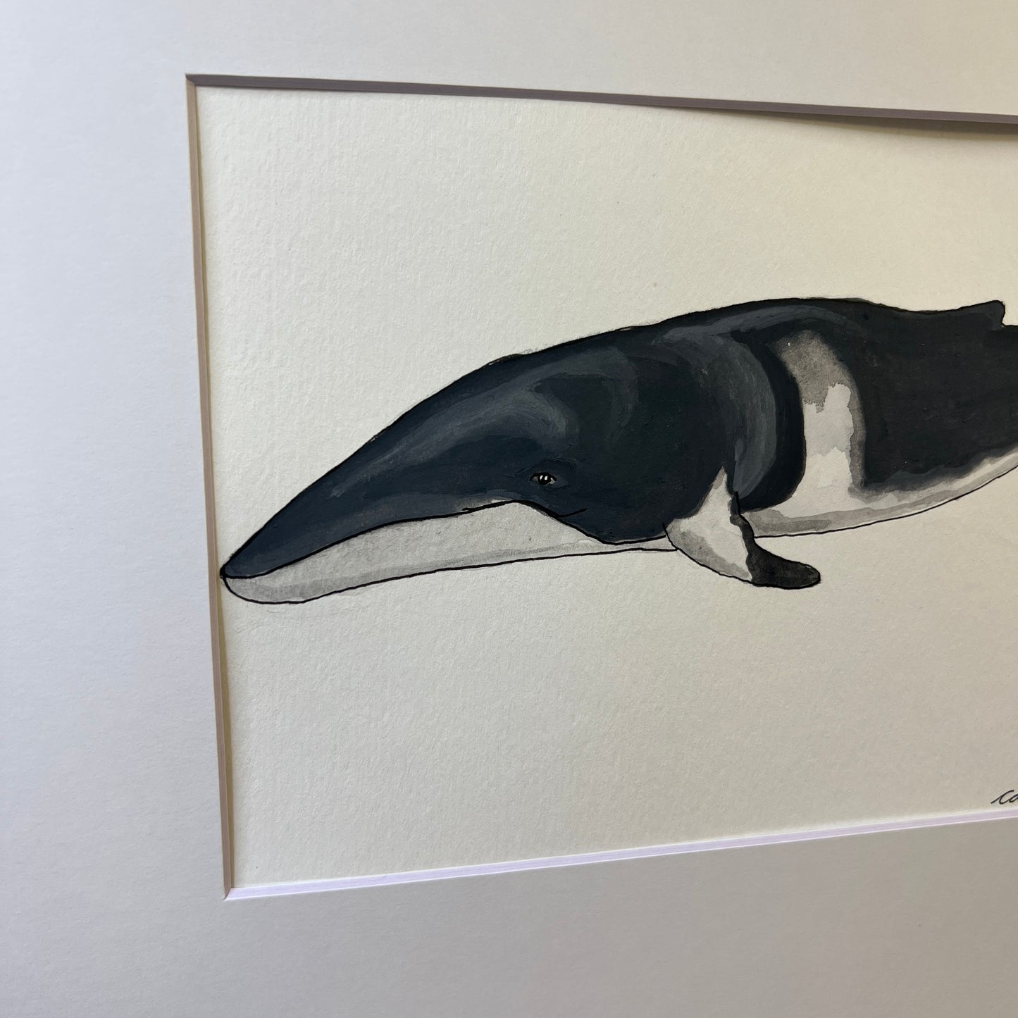 Signed "Common Minke Whale" Original Gouache Painting #4/9