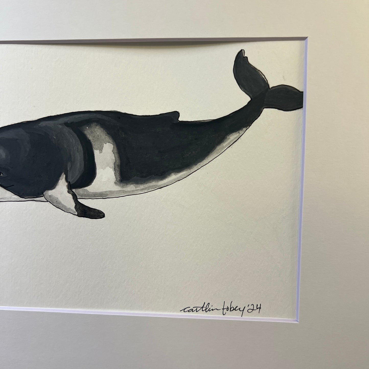 Signed "Common Minke Whale" Original Gouache Painting #4/9
