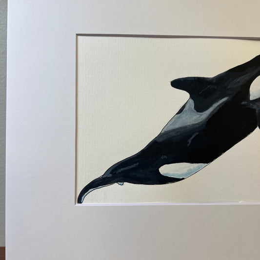 Signed "Orca" Original Gouache Painting #2/9