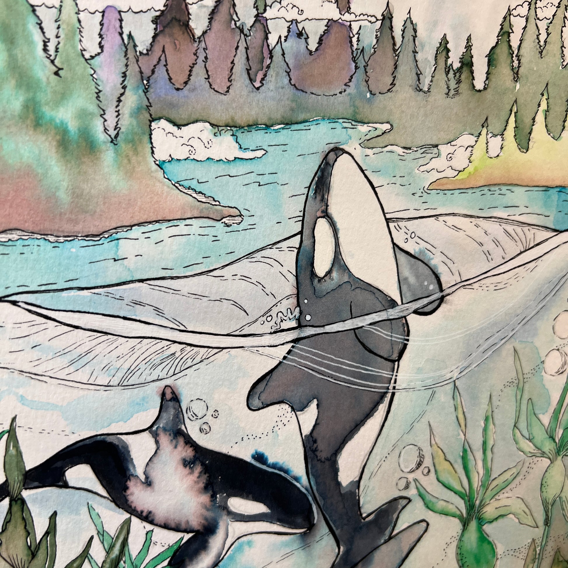 Illustration of orcas swimming 