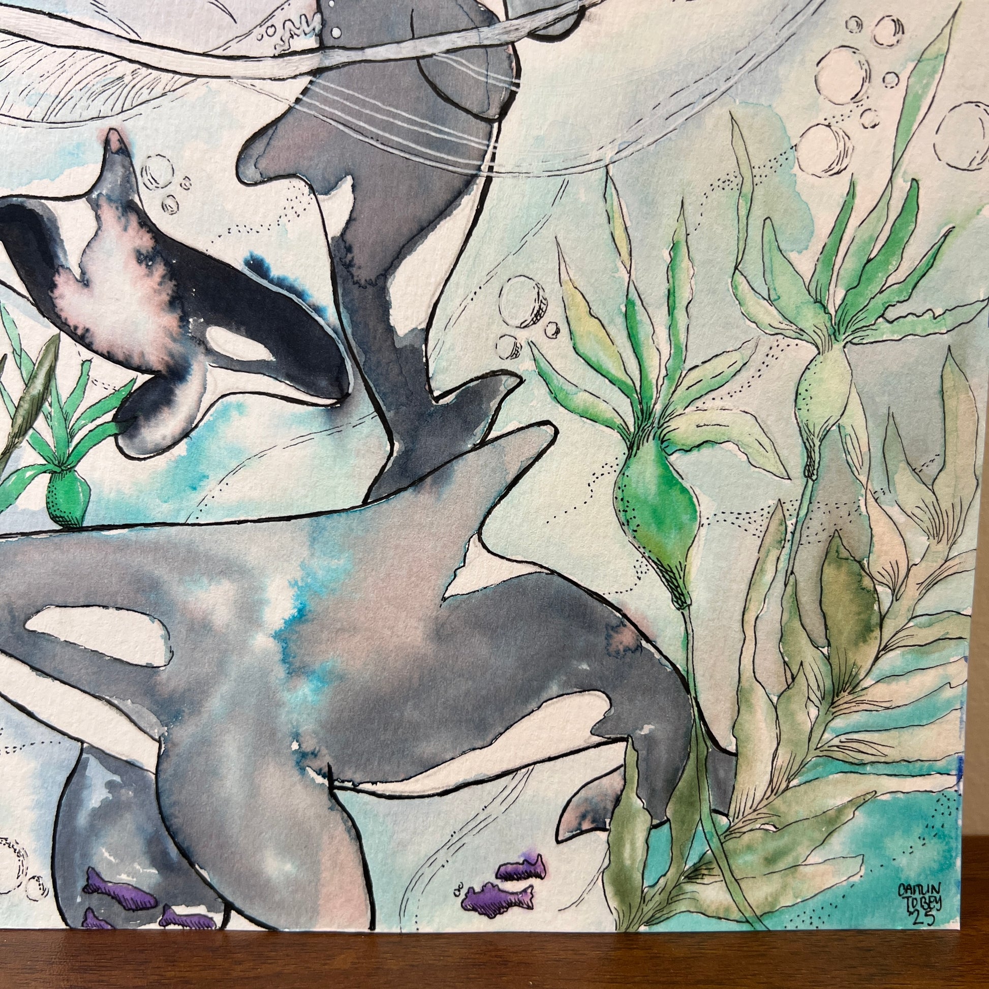 Illustration of orcas- close up detail of the artwork