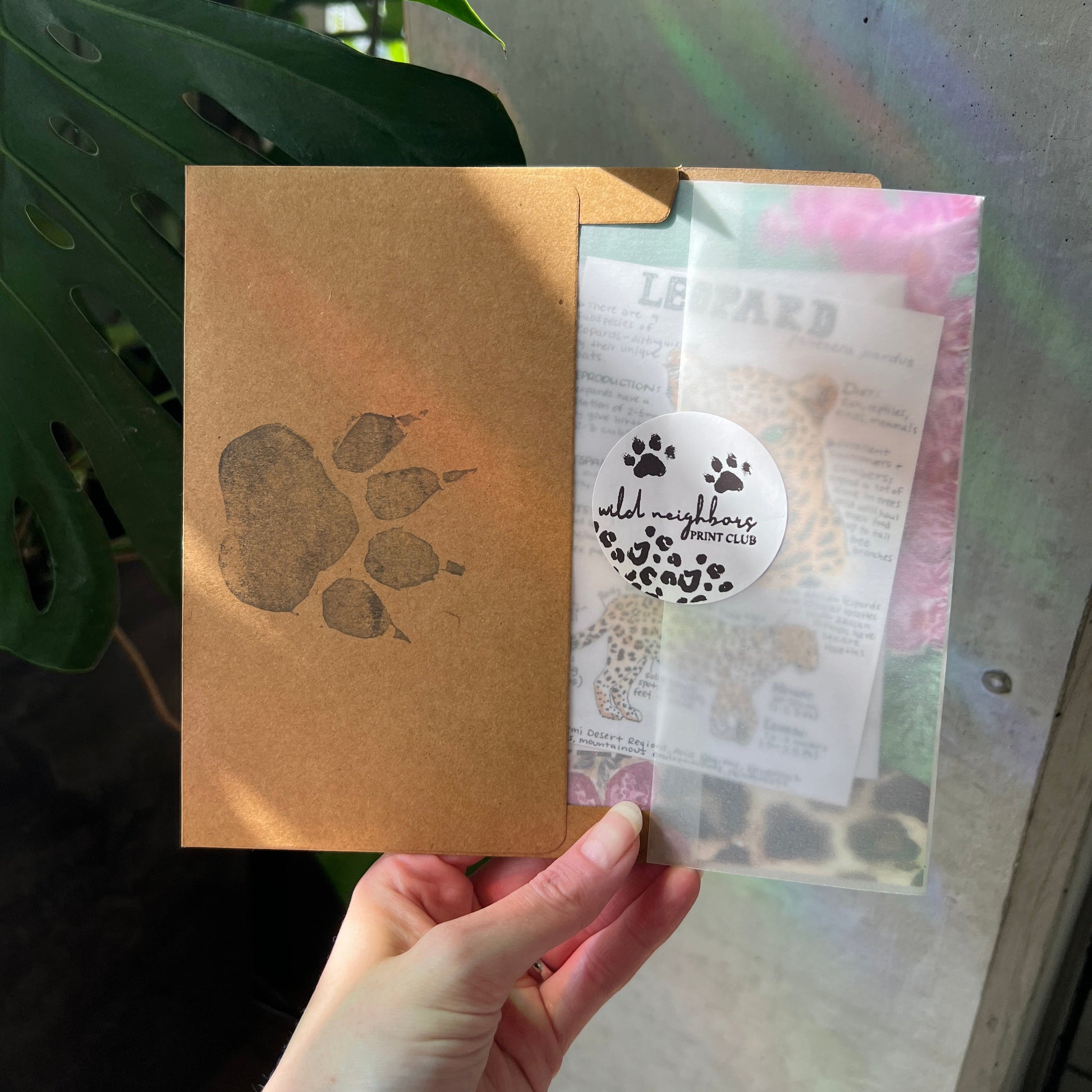 image of a hand holding up an envelope with papers coming out of it