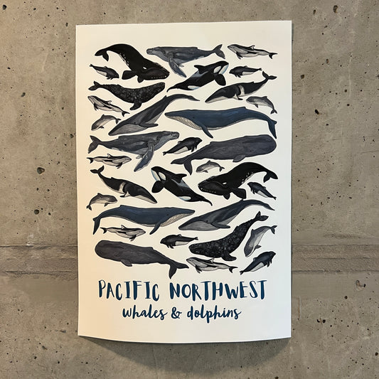 Pacific Northwest Whales & Dolphins Poster | 21x30cm