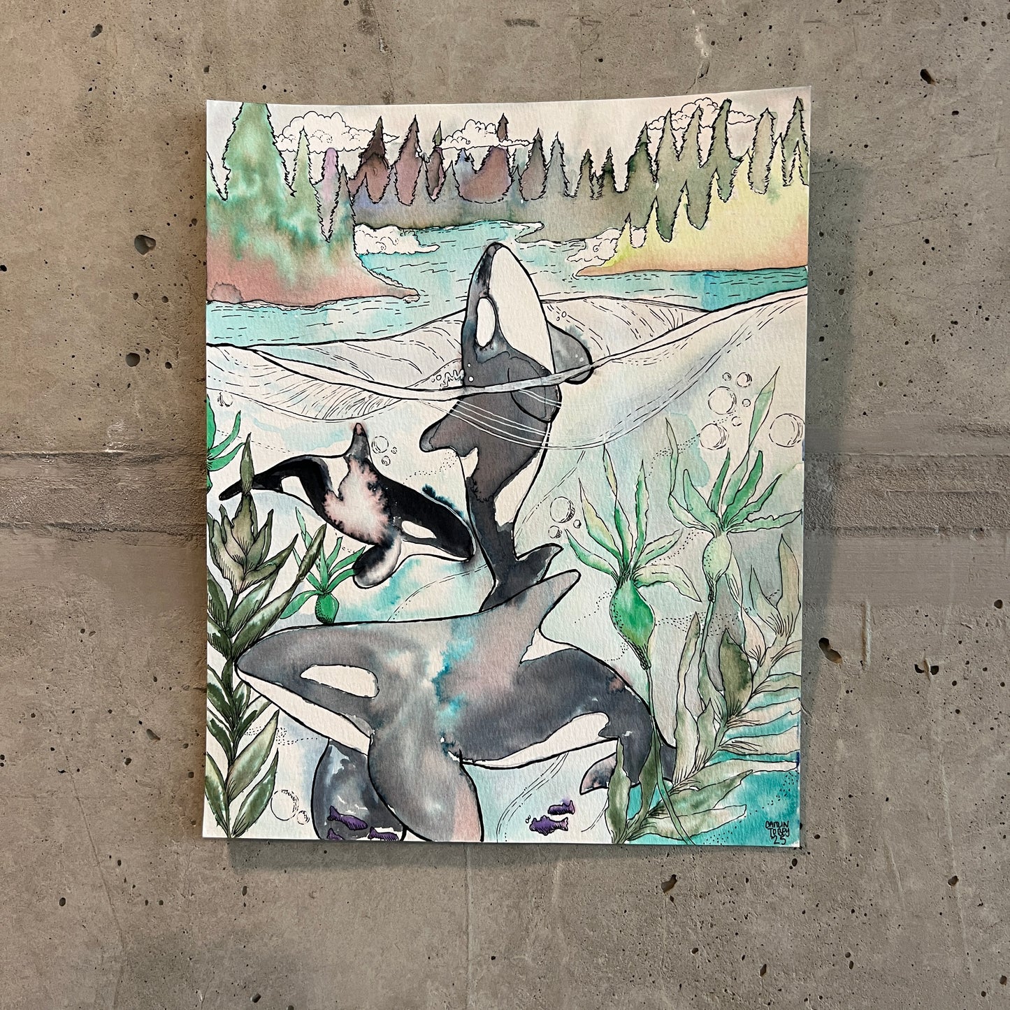 💚Signed "Orcas in the PNW" Watercolor Painting 8x10" (Unframed)
