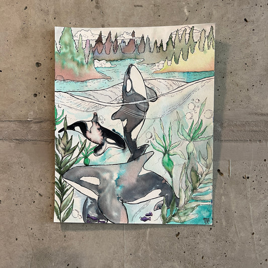 💚Signed "Orcas in the PNW" Watercolor Painting 8x10" (Unframed)