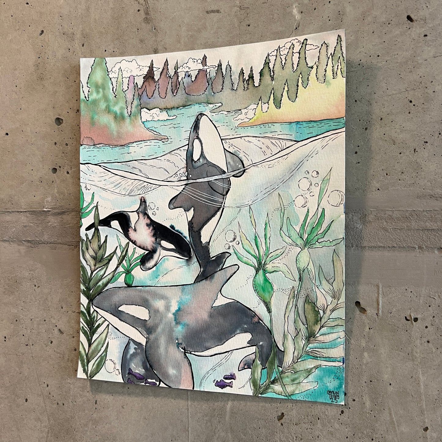💚Signed "Orcas in the PNW" Watercolor Painting 8x10" (Unframed)