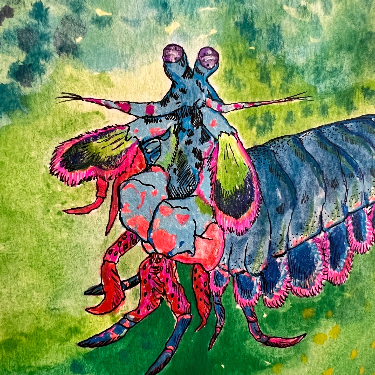 💚Signed "Mantis Shrimp" Watercolor Painting 8x10