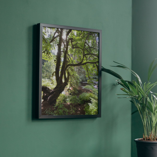 A framed vertical art print depicting a lush green forest with a prominent tree, mounted on a dark green wall next to a potted plant.