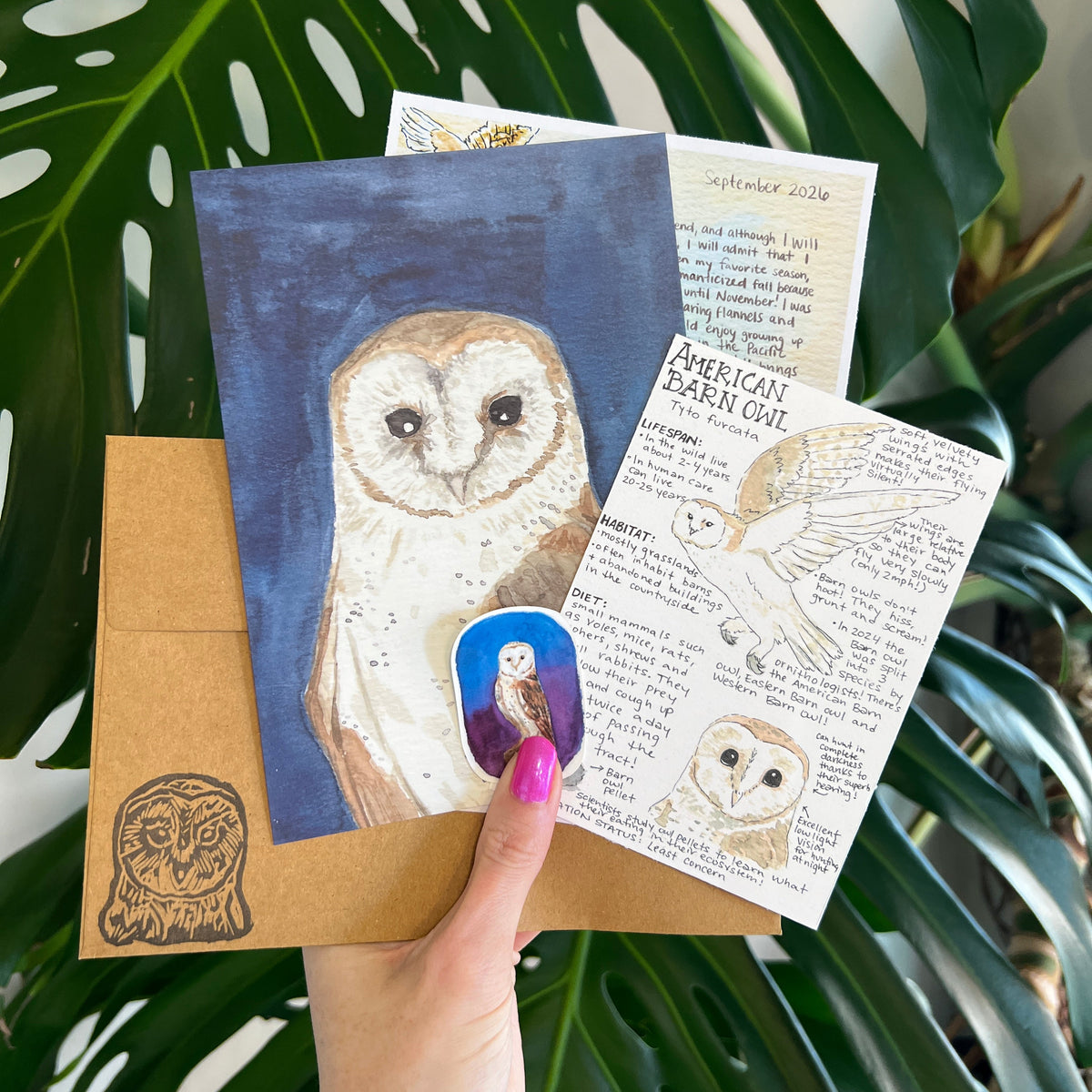 image of a hand holding up barn owl themed mail club with a monstera plant in the background