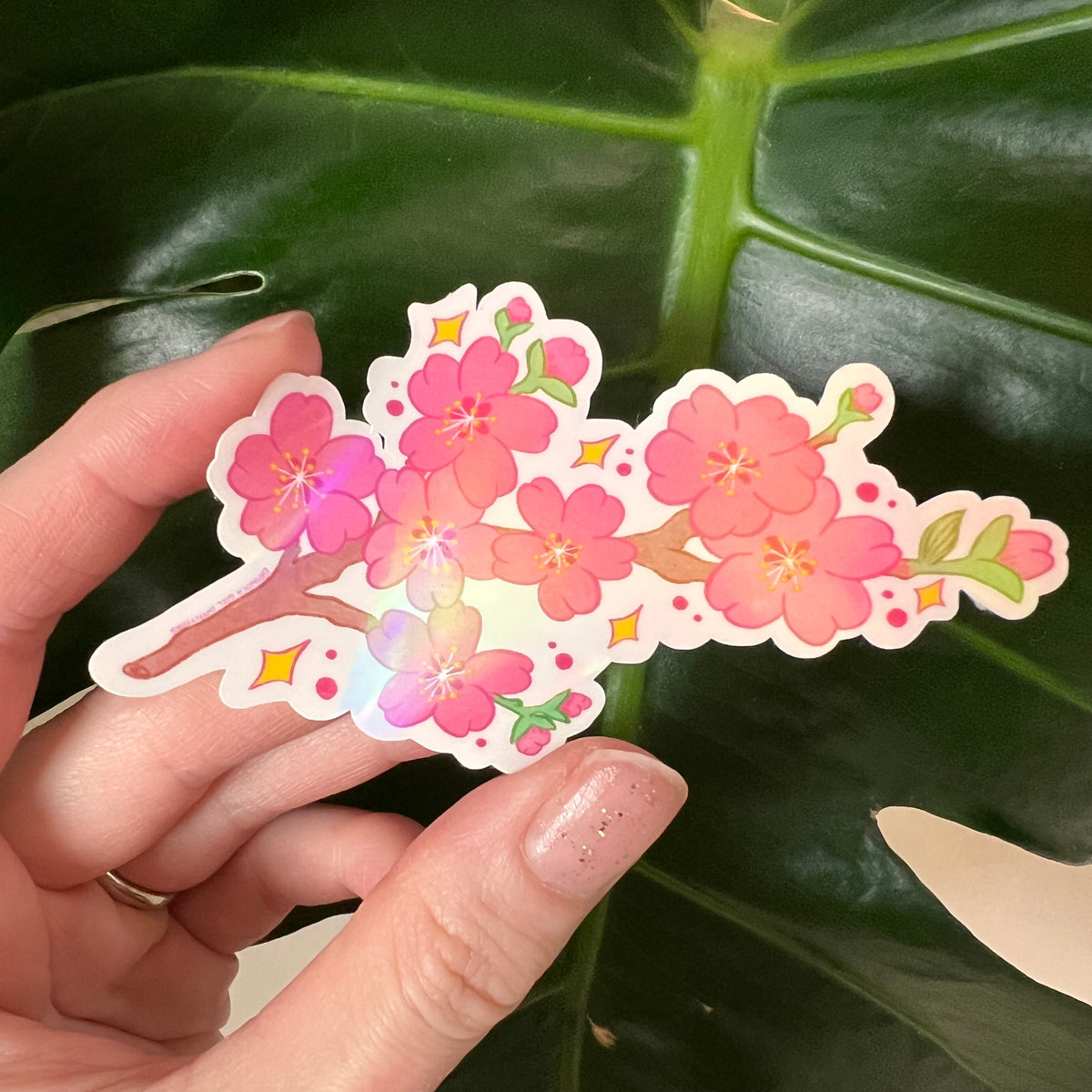 Hand holding a colorful floral sticker with a plant in the background