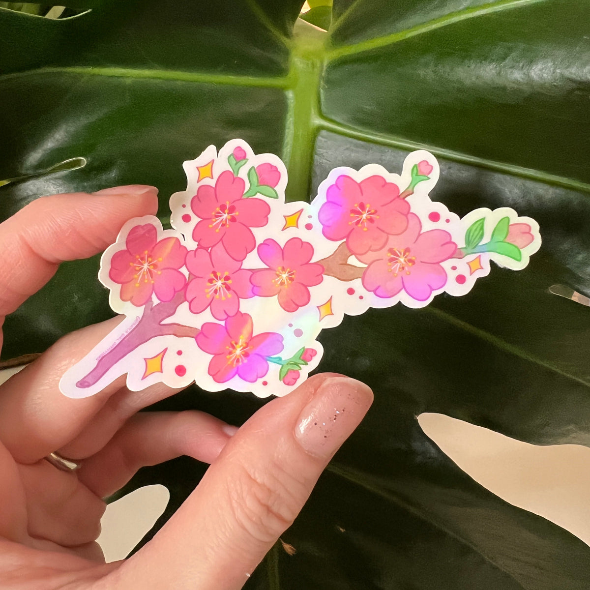 Hand holding a colorful floral sticker against a dark green leaf background