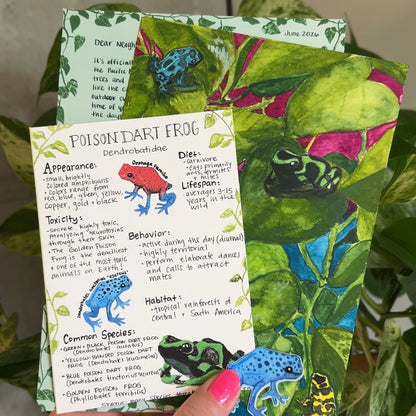 hand holding up poison dart frog mail club edition