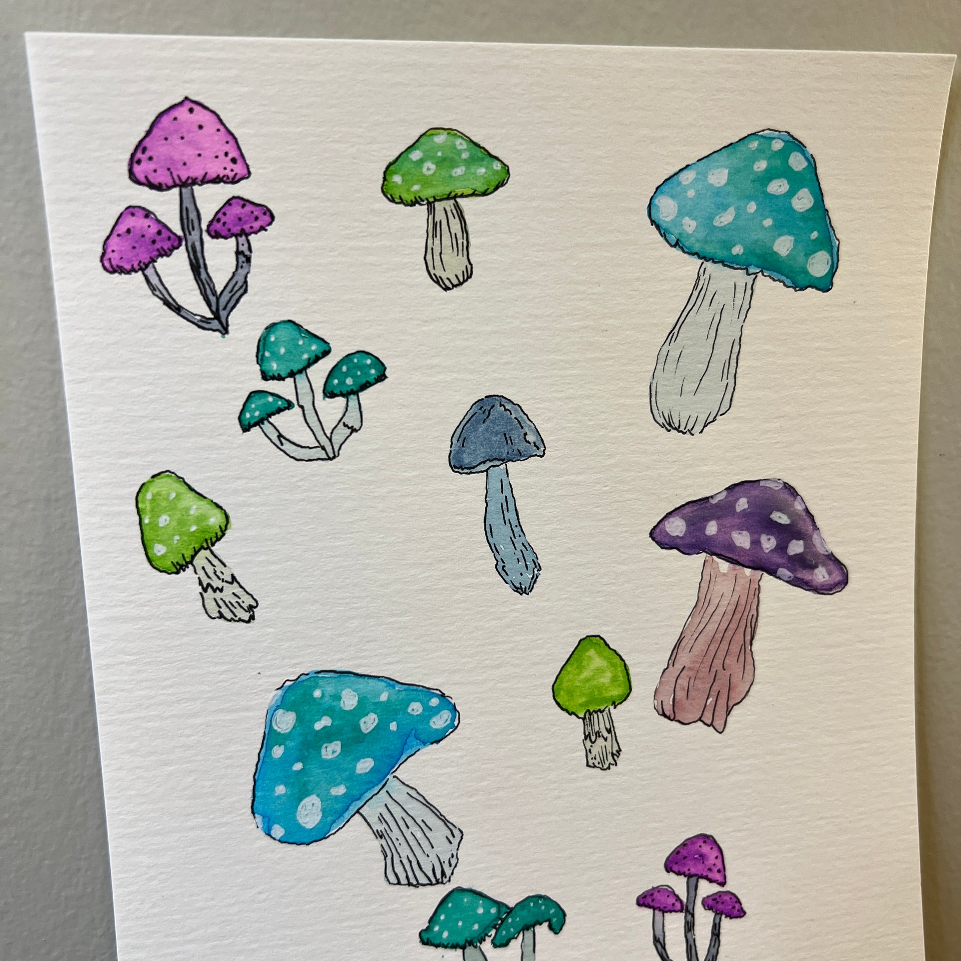 Colorful mushroom illustrations on a white background