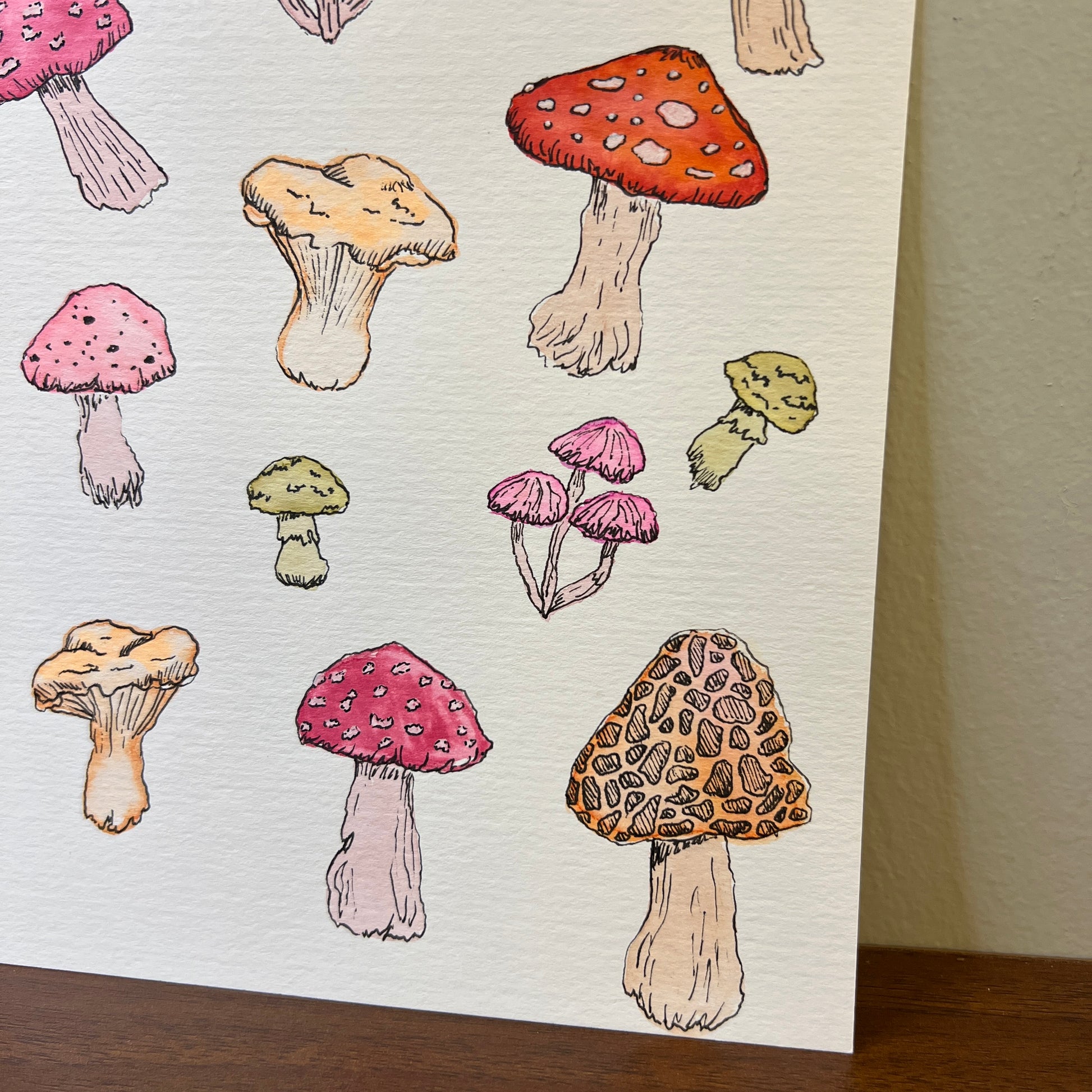 Illustrations of various mushrooms on a textured paper background