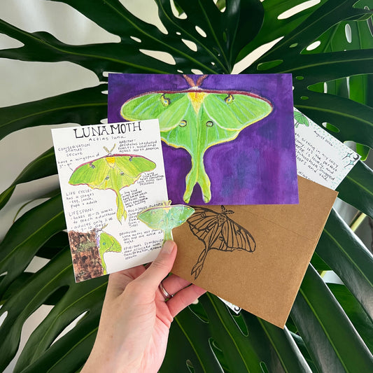 A hand holds a set of luna moth educational cards and a purple watercolor art print in front of large green monstera leaves. The cards feature labeled diagrams of the luna moth, and the art print shows a colorful green moth on a purple background.