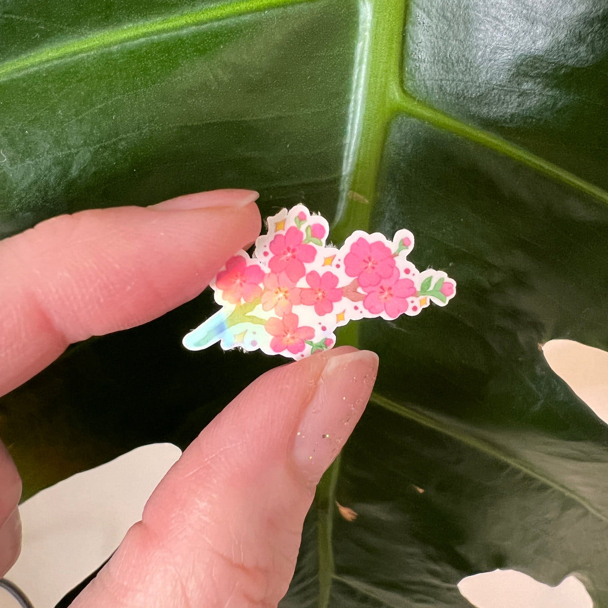 Hand holding a mini cherry blossom branch sticker against a leaf background