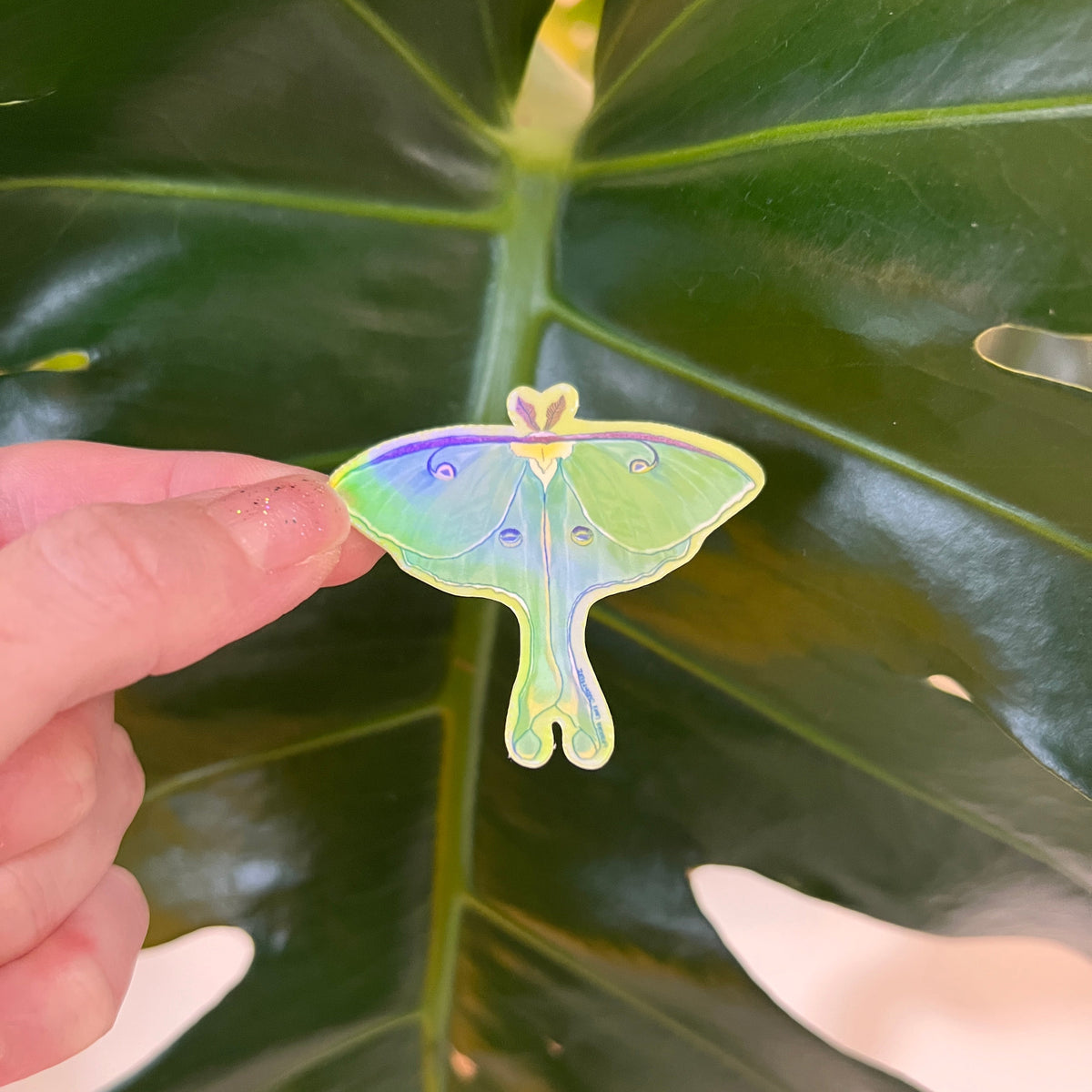 Small Holographic Luna Moth Sticker